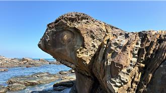 海龜還是變色龍？外木山奇石讓民眾嘖嘖稱奇