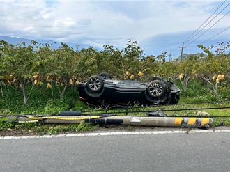 鹿野農會總幹事「酒駕連環撞」 連人帶車摔果園遭送辦