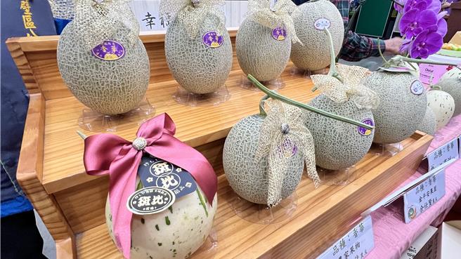 後壁區是全台第2大的洋香瓜產區，全年栽種面積廣達142公頃。（張毓翎攝）