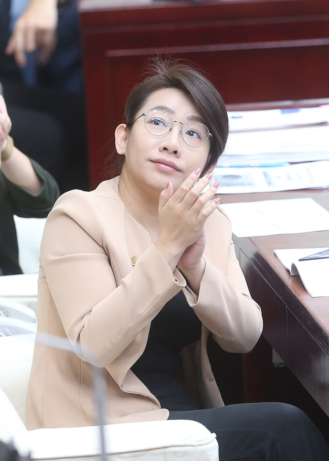民眾党台北市议员林珍羽。（中时资料照，陈怡诚摄）