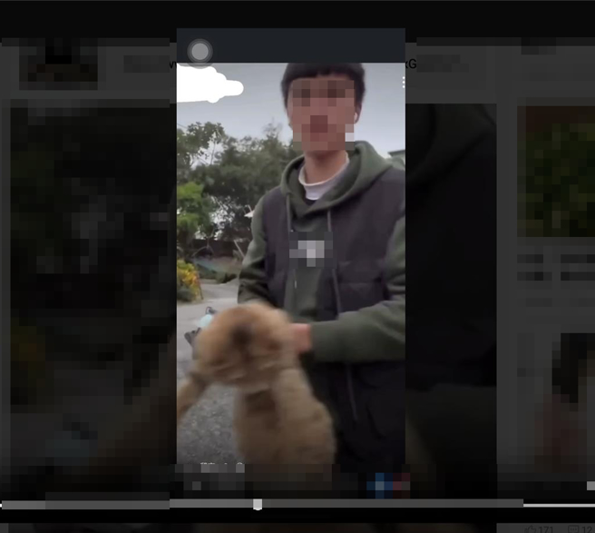 花蓮體中學生日前去外地比賽，竟將民宿業者飼養的貓拋向空中，還錄影分享在網路上，讓不少網友相當憤怒，痛批「怎樣的學校教出怎樣的學生」。（摘自網路平台「爆料公社」／羅亦晽花蓮傳真）