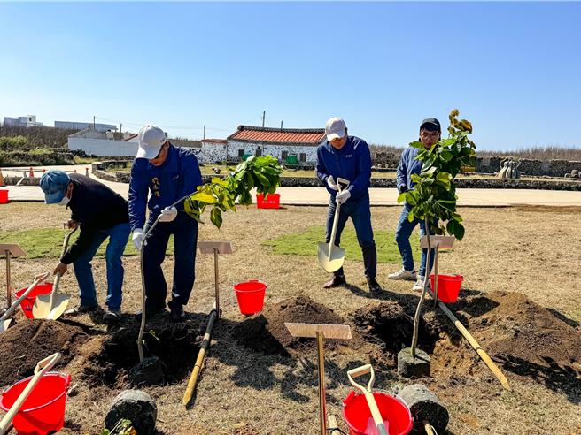 共创植感海岛，澎湖营造绿点植栽响应植树活动。澎管处长洪志光与西屿乡长李添进等，12日早一起在西屿乡二崁第二停车场共同栽植黄水皮、白水木、罗汉松、小叶南洋杉等乔木计35株。（澎管处提供／许逸民澎湖传真）