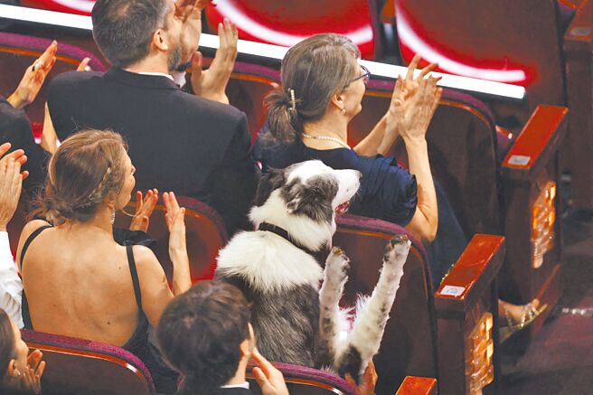 《墜惡真相》的狗演員「梅西」昨日也與會盛典，備受好萊塢影星疼愛。（路透）