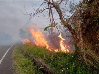 森林火災高風險區 推墓地紙錢集中燒