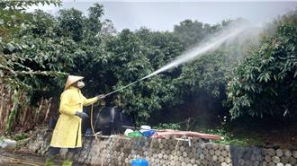 讲习会防范荔枝椿象 竹市府提醒农友把握防治期