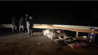 三峽成福山區驚見溶屍！ 民眾驚嚇報案 結局神展開