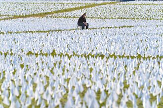 新冠衝擊 全球預期壽命減1.6年