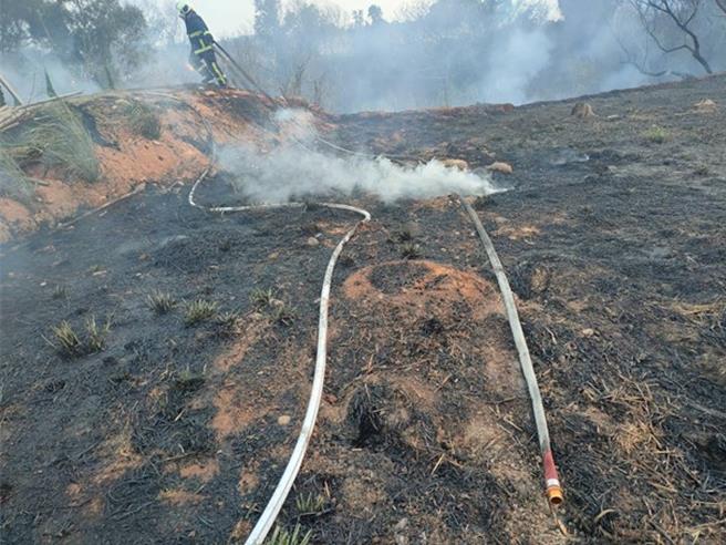 林業保育署台中分署指出，清水區橫山公墓及第一公墓鄰近保安林地，每年幾乎發生公墓火警延燒到鄰近保安林的案例。（林業保育署台中分署提供／張妍溱台中傳真）