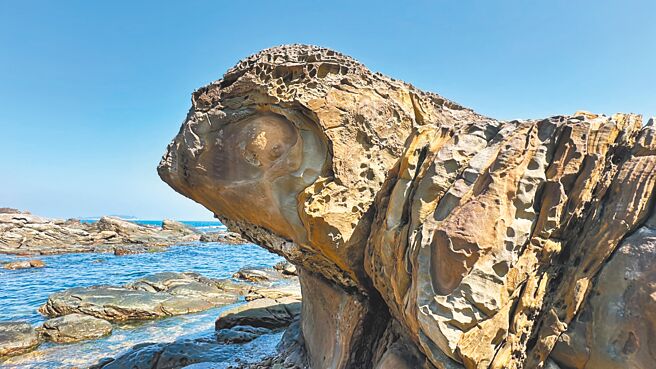 基隆市外木山海岸有座奇岩，从不同的角度观察，会觉得长得像海龟，或是一只栩栩如生的变色龙，让不少网友啧啧称奇。（翻摄照片／张志康基隆传真）