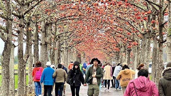 春天氣候由冷轉熱，萬物欣欣向榮，自然界一派生機。（張毓翎攝）