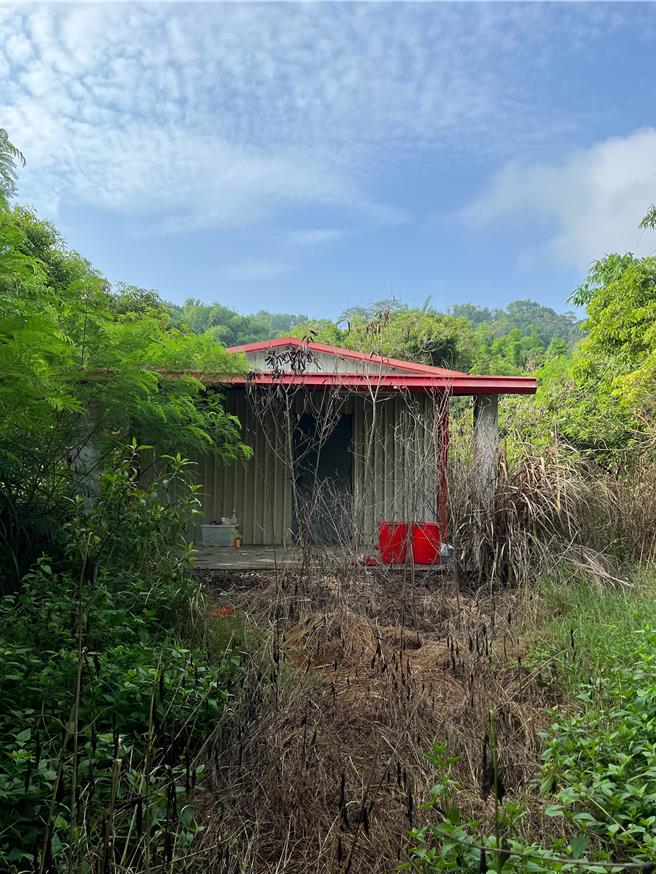 台南市刑大14日宣布挖解躲在東山區深山內的製毒集團，嫌犯躲在一處樹林圍繞的工寮內。（讀者提供／程炳璋台南傳真）