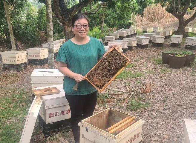 曾经因为照顾家庭而离开职场的「冬青」，透过南投就业服务中心协助，找到养蜂庄园的工作，发挥专长。(中彰投分署提供)