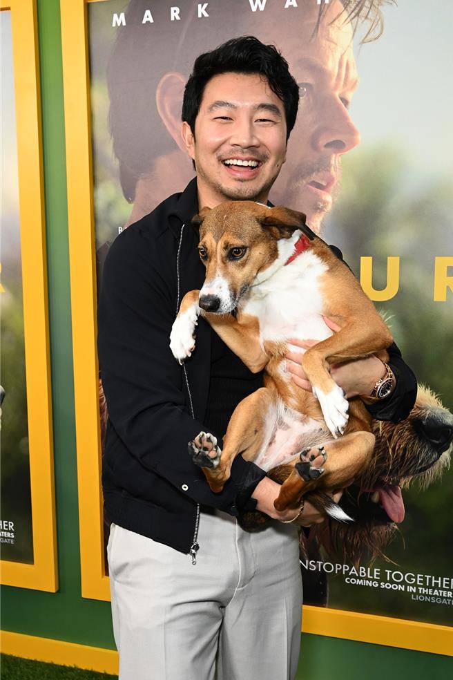 刘思慕在拍摄《极限长征》时，决定将临演狗狗「乔帕」领养回美国。（采昌国际多媒体提供）