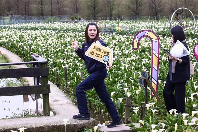 竹子湖海芋季開幕當天，市警局也派員警於現場宣導如何反詐騙。（鄧博仁攝）