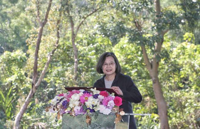 蔡英文總統（見圖）12日出席在政治大學舉行的「113年一起集點樹-植樹節植樹活動」致詞。（趙雙傑攝）