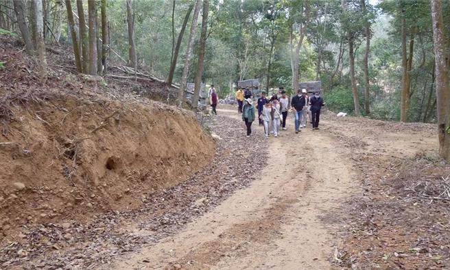 林地遭埔里农庄公司擅自开辟施工便道，县府将邀请农业部水保署、林业保育署等专家进行评估。（杨静茹摄）