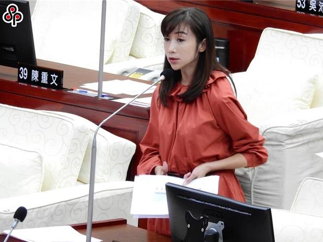 民進黨台北市議員許淑華。（本報資料照片）