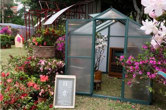 花農攜手藝術家打造萬金杜鵑花屋 15日起大安公園展出