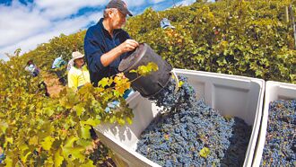 關係回暖 王毅3／17～21出訪紐澳