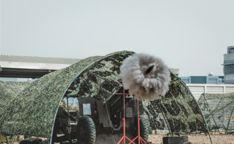 陸軍43砲指部「105榴彈砲」實彈射擊 發揮專業職能戰志昂