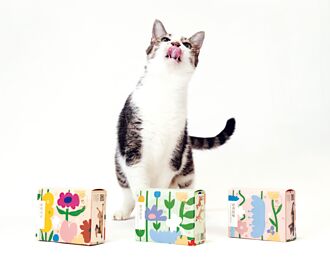 COOKIE886推小花隨手盒 為浪孩送愛