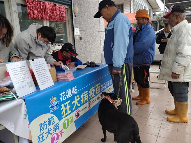 花蓮縣之前發現受傷鼬獾，檢出狂犬病。花蓮10鄉鎮仍列狂犬病高風險區，3月起犬貓施打疫苗。（花蓮縣政府農業處提供／王志偉花蓮傳真）