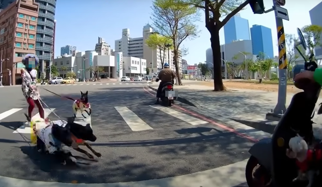 有妇人日前在高雄流行音乐中心遛3只爱犬，但疑似看到其他小狗太兴奋，便衝了上去，而妇人差点拉不住爱犬。（ 图／ 翻摄自「WoWtchout-地图型行车影像分享平台」）