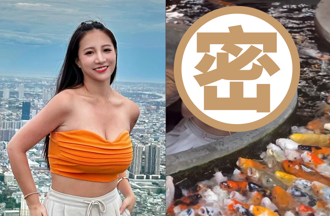 林采缇清迈弯腰露深V喂鱼 整池暴动网惊呼：好大...