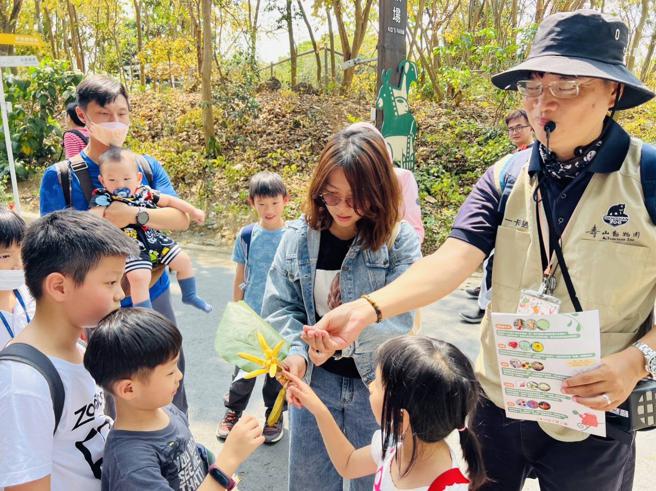 學童認真觀察槭葉翅子木的花朵（圖片來源：高雄市觀光局提供）