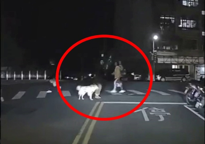 汽車駕駛遠遠就看到男子停在路中，當時就有減速準備停車禮讓了。（翻攝爆料公社）