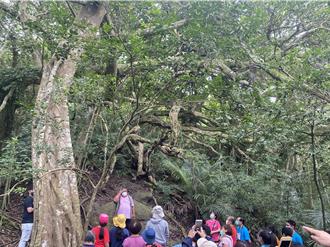 像極了「阿凡達」 台東環境教育認證場所再＋1