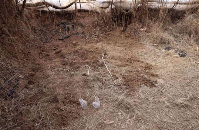 國中生遭霸凌「臉敲爛」埋屍菜棚，3施暴同學警局「翹腳睡覺」超淡定。(翻攝微博)