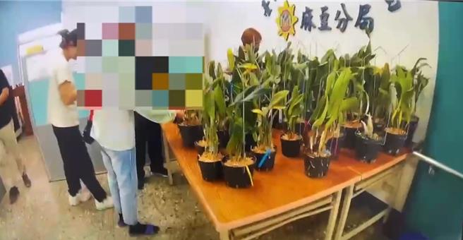 失主到警察局认领遭窃的50盆兰花。（民眾提供／宝智华台南传真）