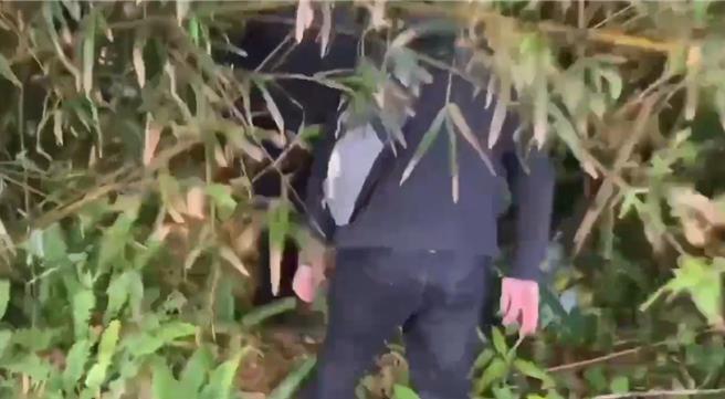 专案小组低头穿越竹林前往藏放失窃兰花的废弃工寮。（民眾提供／宝智华台南传真）