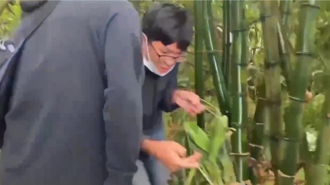 专案小组将兰花一盆一盆搬到竹林外。（民眾提供／宝智华台南传真）