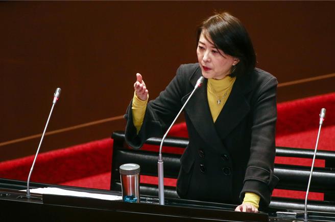 国民党立委王鸿薇19日在立法院质询。（邓博仁摄）
