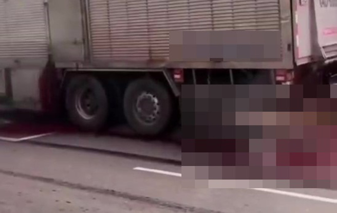 台66線快速道路1輛大貨車，後車廂流出大量鮮血，將道路染紅。（翻攝記者爆料網）