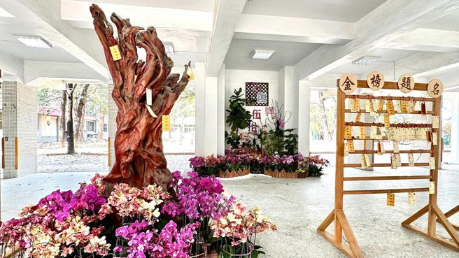 台南蘭展花藝作品進校園！14校認養花材 再續蘭花之美