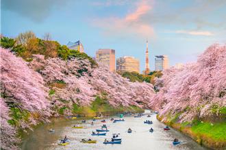 連假難求！易遊網：清明連假日本機票漲6成