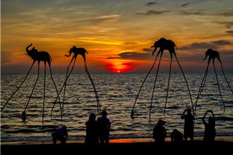 星宇7／1開航富國島 越南布局4航點國籍航空最多