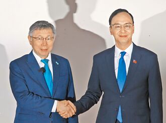 3黨組超大聯合政府 54％國人力挺