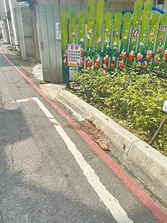 新店 里長緝凶 6旬翁亂丟屎包恐罰6千