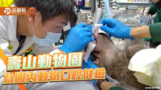 世界口腔健康日  寿山动物园守护动物口腔健康