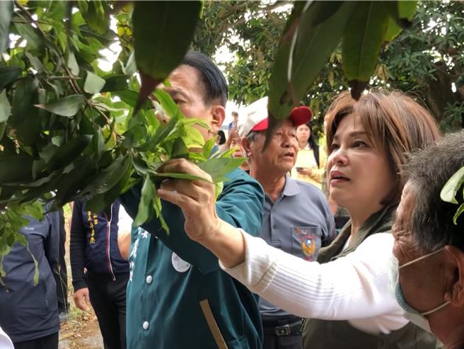 立委赖惠员（右一）表示，她将向农业部争取以天然灾害现金救助的方式补贴农民损失的种植成果。（赖惠员服务处提供／张毓翎台南传真）
