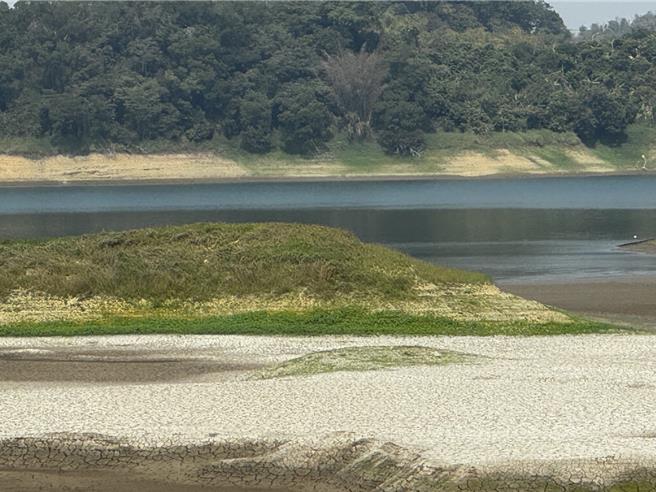 仁義潭水庫蓄水率剩下24.7％，露出大片乾地和小島，自來水公司表示，調節水量是為了清淤做準備。（呂妍庭攝）
