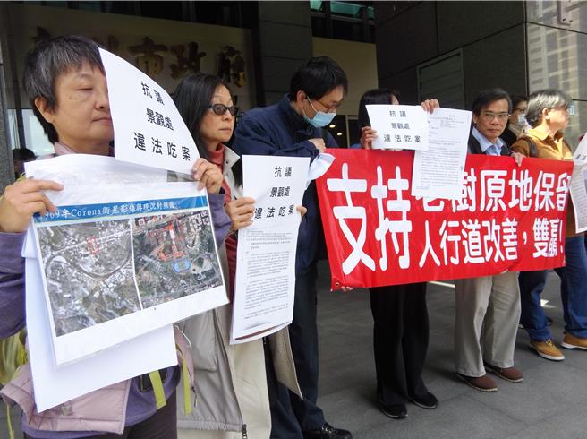 新店青潭国小6棵老麵包树是否移植引发多次讨论，护树团体20日批评，等了8个月补件3次，迟迟未见下文，质疑被新北市政府吃案。（张铠乙摄）