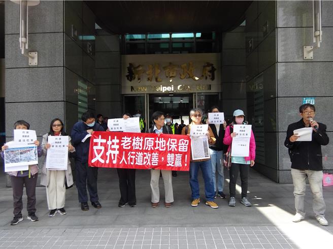 新店青潭国小6棵老麵包树是否移植引发多次讨论，护树团体20日批评，等了8个月补件3次，迟迟未见下文，质疑被新北市政府吃案。（张铠乙摄）