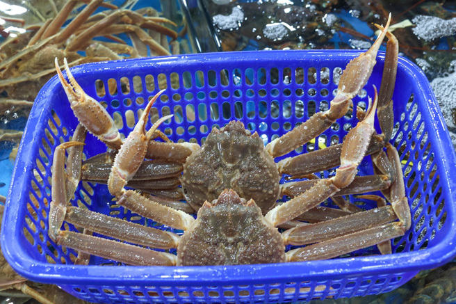 日本一名25歲漁師透露，他一個月只工作9天左右，最高可以賺進250萬日圓（約新台幣52.8萬）月薪。 (示意圖:shutterstock/達志)