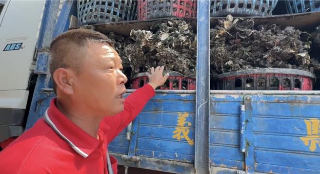 農民望著整車的蚵，無奈說幾乎一半都是空的。(曹婷婷攝)