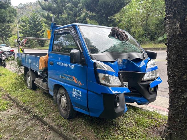 林男吃完感冒藥後出門，駕車時昏昏欲睡，不慎自撞路樹。（新店警分局提供）